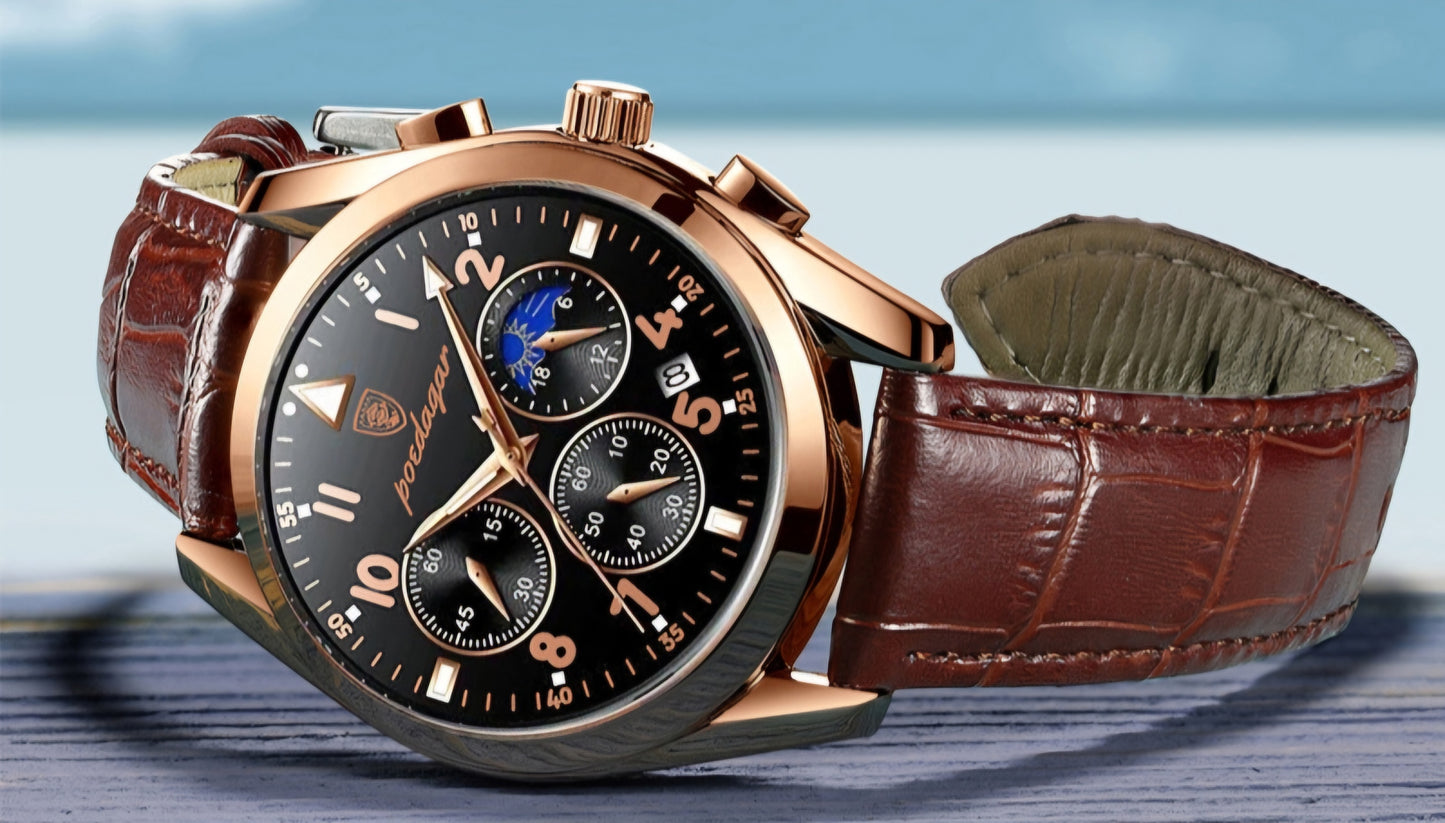 Poedagar Mechanical Men Wristwatch