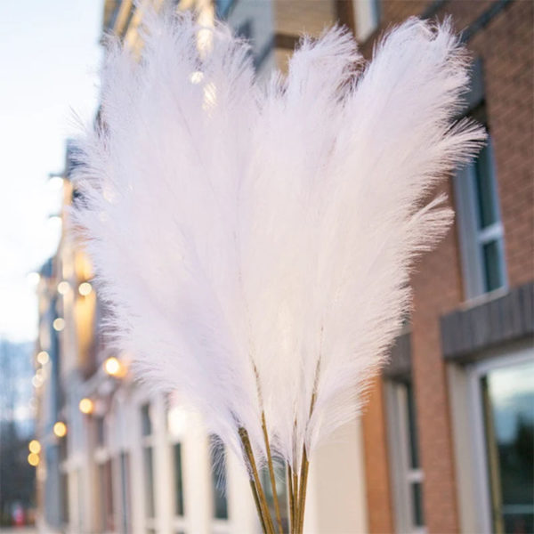 Dried Reeds (Pack of 4)