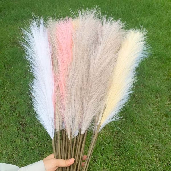 Dried Reeds (Pack of 4)
