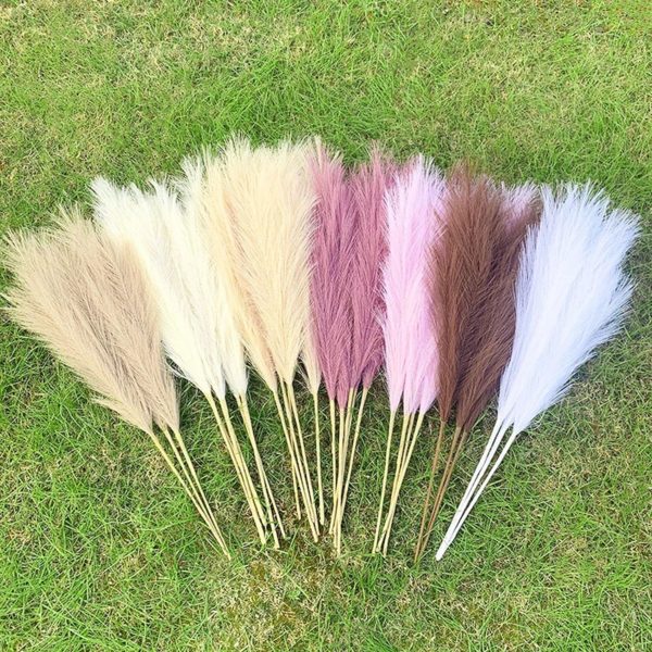 Dried Reeds (Pack of 4)