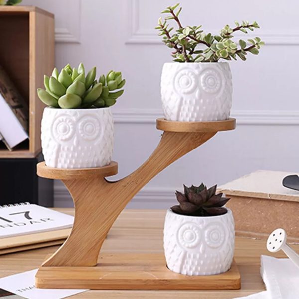 Owl Pattern Flowerpot