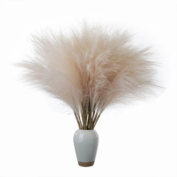 Dried Reeds (Pack of 4)