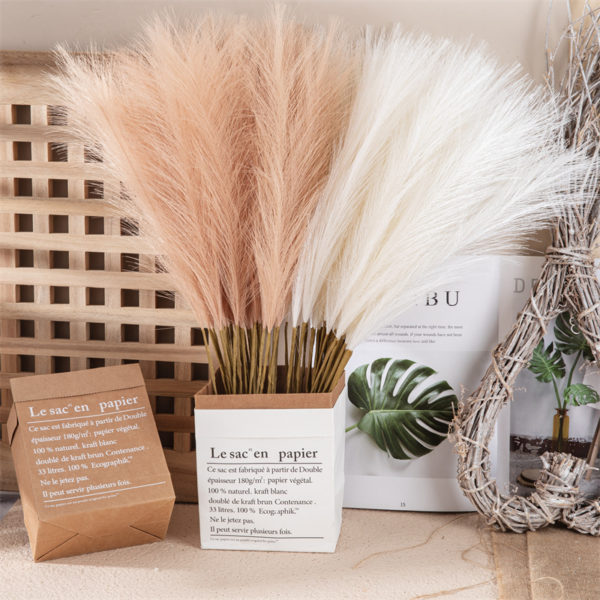 Dried Reeds (Pack of 4)