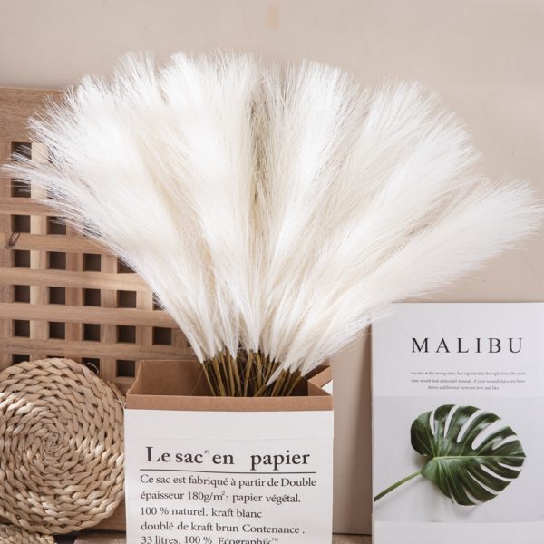 Dried Reeds (Pack of 4)