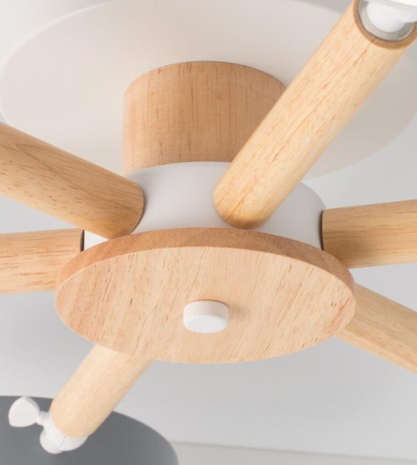 Modern Ceiling Lamp