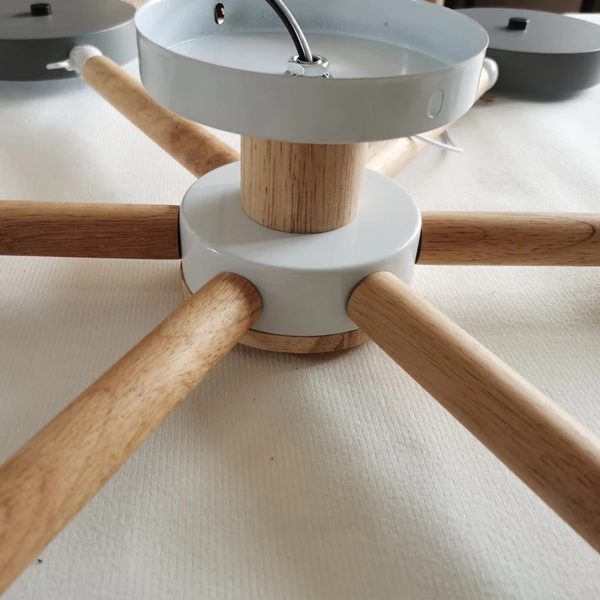 Modern Ceiling Lamp