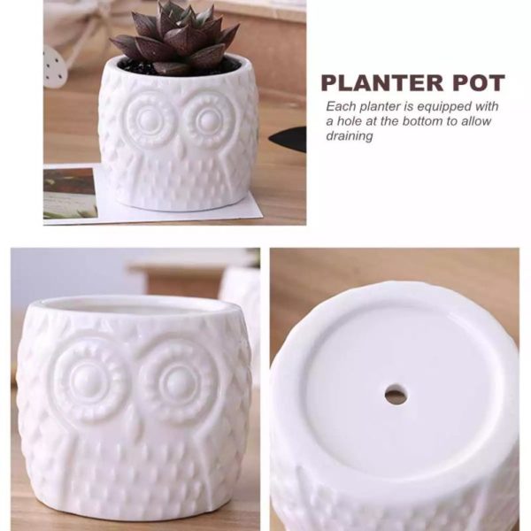 Owl Pattern Flowerpot